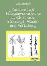 Hartwig, J: Kunst der Pflanzenvermehrung durch Samen, Steckl