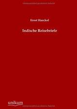 Indische Reisebriefe