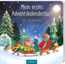 Mein erstes Adventskalenderbuch