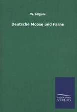 Deutsche Moose Und Farne: La Nueva Cultura del Reciclaje