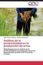 Análisis de la productividad en la producción de arroz