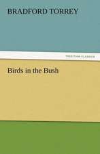 Birds in the Bush