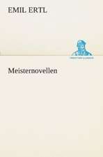 Meisternovellen