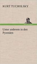 Unter Anderem in Den Pyrenaen: Das Lallen- Und Narrenbuch