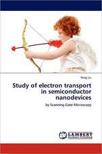 Study of electron transport in semiconductor nanodevices