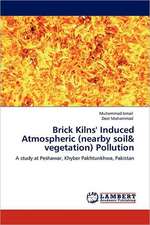 Brick Kilns' Induced Atmospheric (nearby soil&amp; vegetation) Pollution