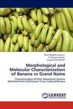 Morphological and Molecular Characterization of Banana cv Grand Naine