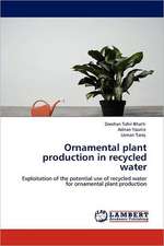 Ornamental plant production in recycled water