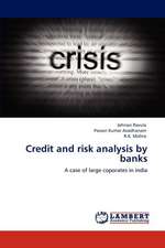 Credit and risk analysis by banks