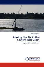 Sharing the Pie in the Eastern Nile Basin