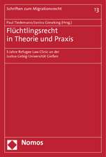 Fluchtlingsrecht in Theorie Und Praxis: 5 Jahre Refugee Law Clinic an Der Justus-Liebig-Universitat Giessen