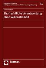 Strafrechtliche Verantwortung Ohne Willensfreiheit: Brucke Zwischen Wissenschaft Und Praxis