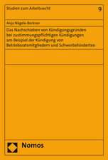 Das Nachschieben Von Kundigungsgrunden Bei Zustimmungspflichtigen Kundigungen Am Beispiel Der Kundigung Von Betriebsratsmitgliedern Und Schwerbehinder: Explorations in Visual and Material Practices