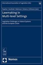 Lawmaking in Multi-level Settings