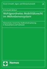 Wohlgeordnetes Mobilitätsrecht im Mehrebenensystem