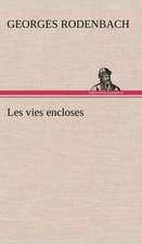 Les Vies Encloses: La France, La Russie, L'Allemagne Et La Guerre Au Transvaal