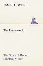 The Underworld the Story of Robert Sinclair, Miner: Oriental and Occidental, Antique & Modern a Handbook for Ready Reference