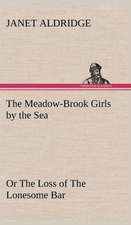 The Meadow-Brook Girls by the Sea or the Loss of the Lonesome Bar: Studies Critical and Constructive