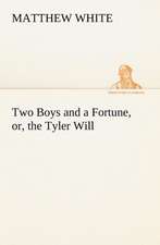 Two Boys and a Fortune, or, the Tyler Will