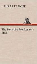 The Story of a Monkey on a Stick