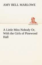 A Little Miss Nobody Or, with the Girls of Pinewood Hall: A Story of Australian Life