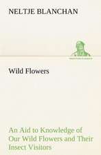 Wild Flowers an Aid to Knowledge of Our Wild Flowers and Their Insect Visitors: Years of Travel as a Virtuoso