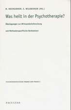 Was heilt in der Psychotherapie?