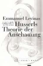 Husserls Theorie der Anschauung