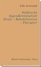 Städtische Jugendkriminalität - Strafe - Rehabilitation - Therapie?