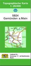 Gemünden am Main 1 : 25 000