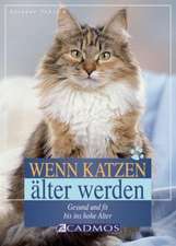 Wenn Katzen älter werden