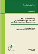 Eu-Osterweiterung: Migration Von Beschaftigten Aus Osteuropa Nach Deutschland