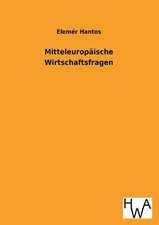 Mitteleuropaische Wirtschaftsfragen: Ein Lehrbuch Von 1922. Fur Studierende Und Konstrukteure