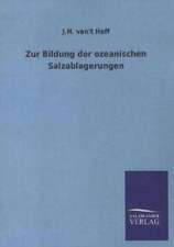 Zur Bildung der ozeanischen Salzablagerungen