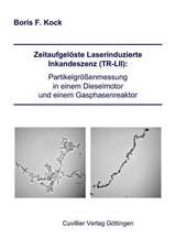 Zeitaufgelöste Laserinduzierte Inkandeszenz (TR-LII): Partikelgrößenmessung in einem Dieselmotor und einem Gasphasenreaktor