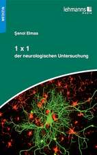 1x1 der neurologischen Untersuchung