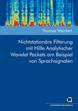 Nichtstationäre Filterung mit Hilfe Analytischer Wavelet Packets am Beispiel von Sprachsignalen