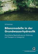 Bilanzmodelle in der Grundwasserhydraulik : Quantitative Beschreibung von Strömung und Transport im Untergrund