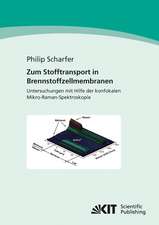 Zum Stofftransport in Brennstoffzellenmembranen : Untersuchungen mit Hilfe der konfokalen Mikro-Raman-Spektroskopie