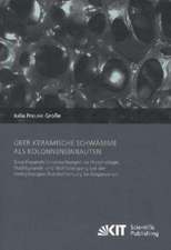 Über keramische Schwämme als Kolonneneinbauten : Grundlegende Untersuchungen zu Morphologie, Fluiddynamik und Stoffübergang bei der mehrphasigen Durchströmung im Gegenstrom