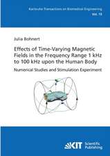 Effects of Time-Varying Magnetic Fields in the Frequency Range 1 kHz to 100 kHz upon the Human Body : Numerical Studies and Stimulation Experiment