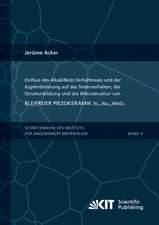 Einfluss des Alkali/Niob-Verhältnisses und der Kupferdotierung auf das Sinterverhalten, die Strukturbildung und die Mikrostruktur von bleifreier Piezokeramik (K0,5Na0,5)NbO3