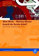 What Works - Welches Wissen braucht die Soziale Arbeit?