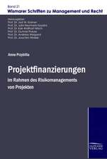 Projektfinanzierungen im Rahmen des Risikomanagements von Projekten