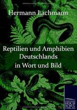 Reptilien und Amphibien Deutschlands in Wort und Bild