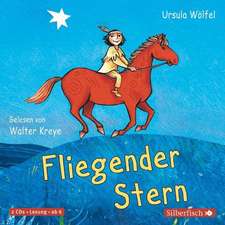 Fliegender Stern