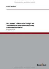 Der Handel elektrischer Energie an Strombörsen - Aktuelle Fragen des Risikomanagements