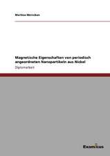 Magnetische Eigenschaften von periodisch angeordneten Nanopartikeln aus Nickel