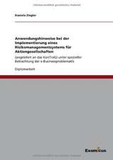 Anwendungshinweise bei der Implementierung eines Risikomanagementsystems für Aktiengesellschaften