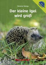Der kleine Igel wird groß